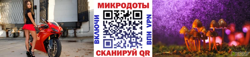 Псилоцибиновые грибы мицелий  где можно купить   Богучар 